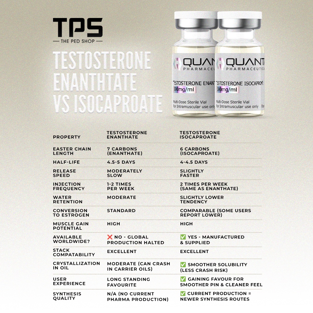 Quanta Pharma Testosterone Isocaproate - Image 2